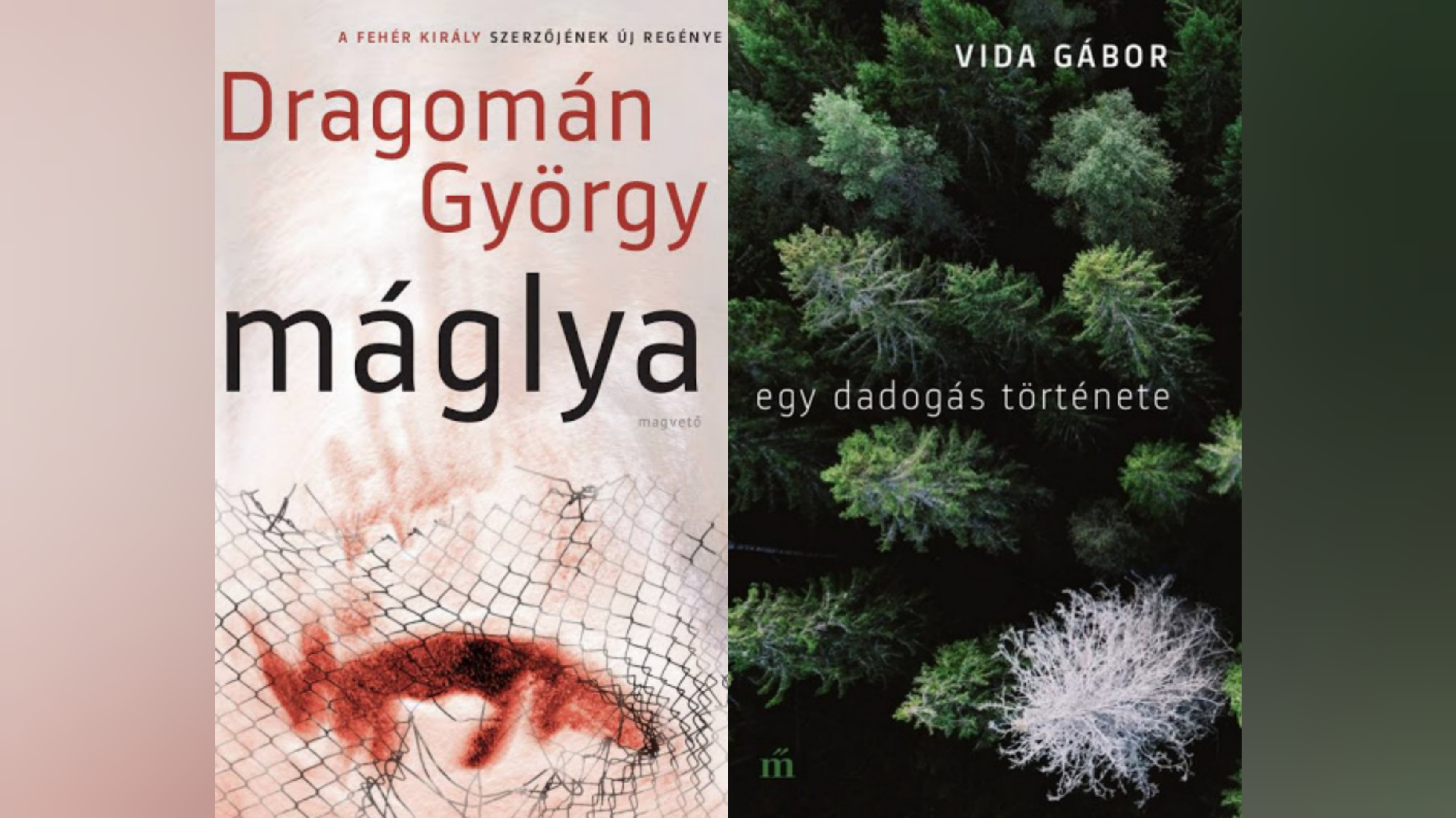 Merítés-lista: Dragomán György és Vida Gábor írta az évtized könyveit
