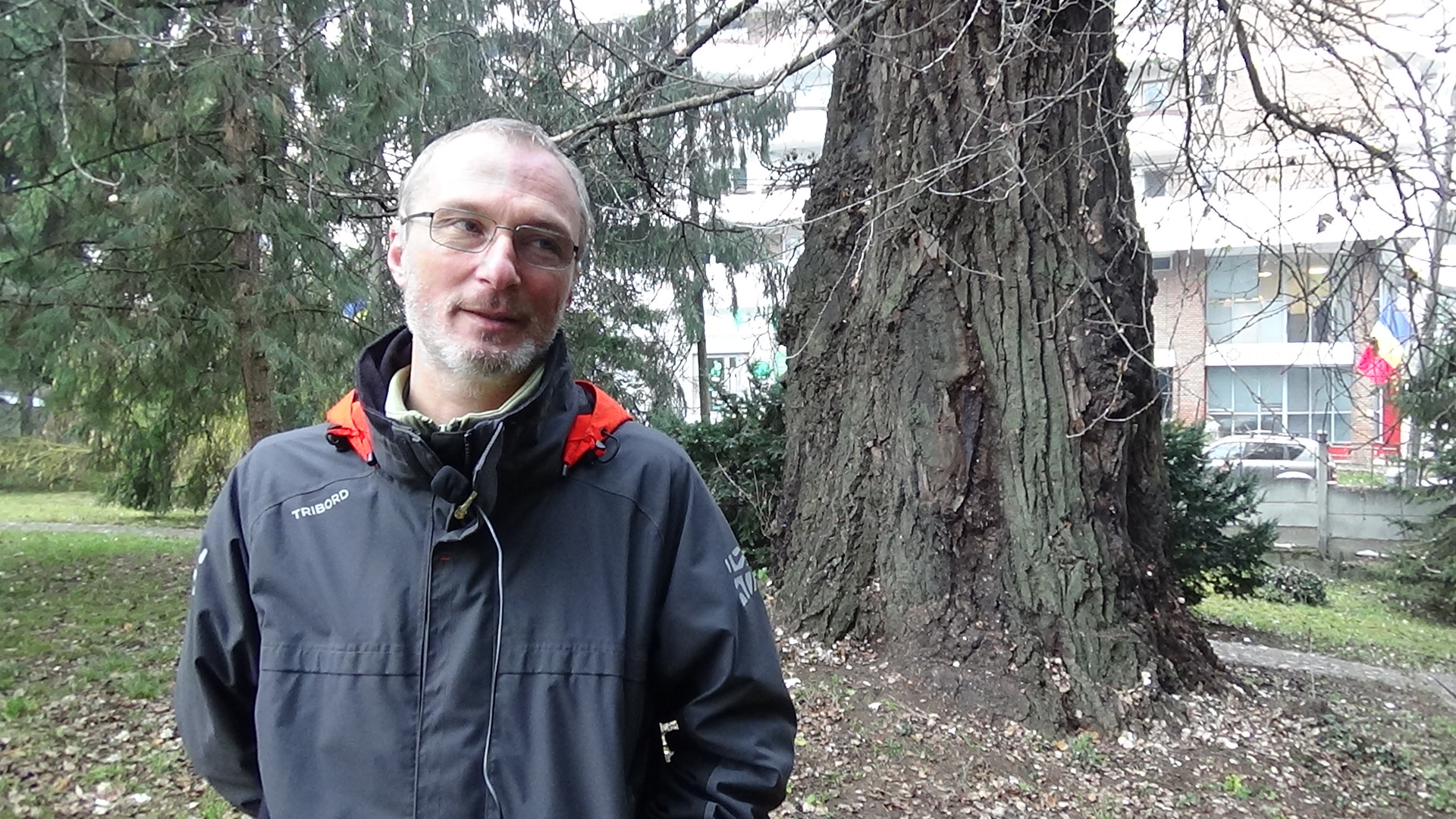 VIDEÓINTERJÚ - Hartel Tibor: ügyelnünk kell a kolozsvári „igazi túlélő”, öreg fákra