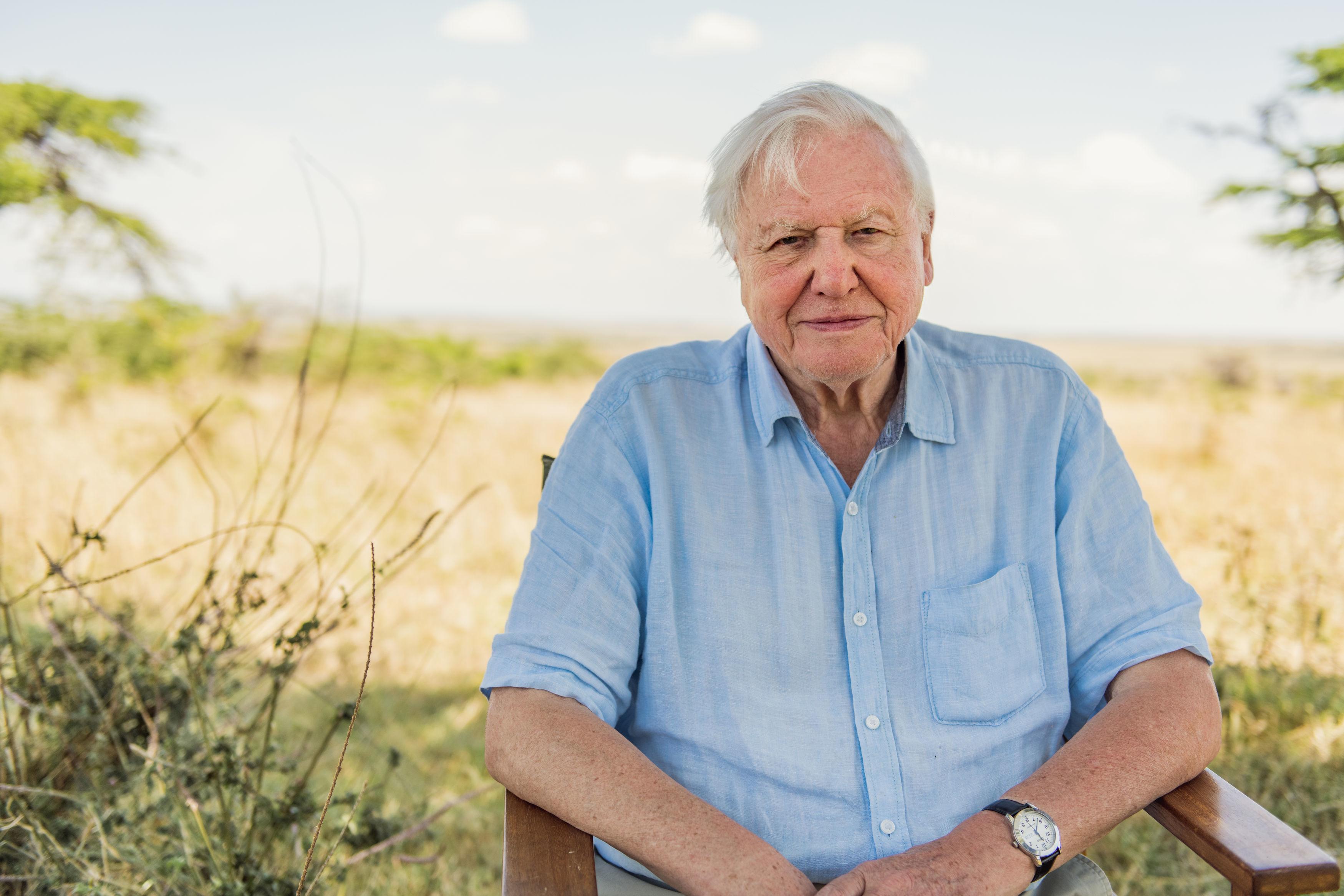 David Attenborough természettudóst a Föld bajnoka címmel tüntette ki az ENSZ