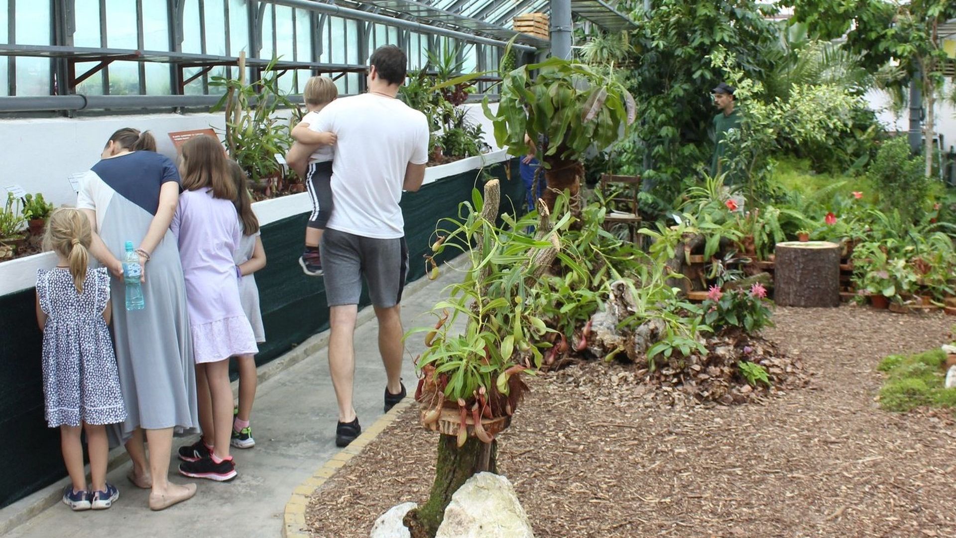 Rekordszámú látogató tavaly a botanikuskertben
