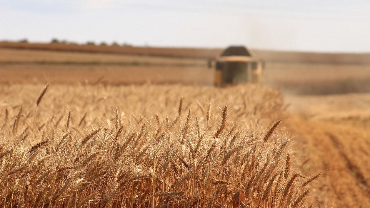 Megállapodás a Románián áthaladó ukrán gabonáról