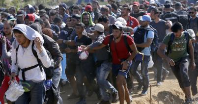 Ötvenegy migránst tartóztattak fel a szerb-román határon