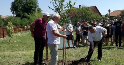 Kostyák Alpár emlékére  ültettek facsemetét