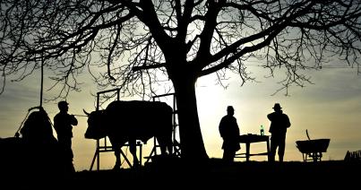 A vidéki élet szépségeit dokumentálnák