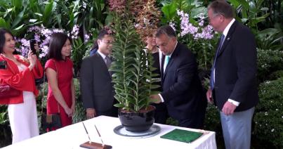 Orchideát neveztek el Orbán Viktorról