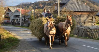 Kiépítenék az erdélyi falvak hálózatát