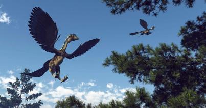Tudott repülni a híres szárnyas dino