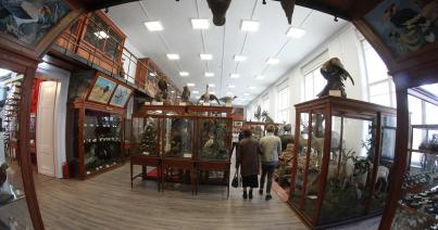 Ismét látogatható a kolozsvári Állattani Múzeum