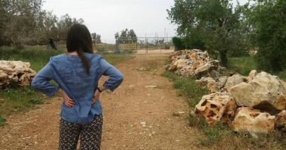 Golyók, kövek és vízcseppek között, Palesztinában (I.)
