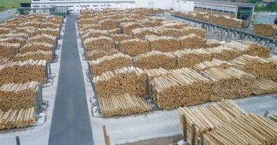 Házkutatások a Schweighofer Holzindustrie gyáraiban