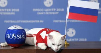 Egy futballcsapatnyi állat „jósolja” a meccsek eredményét Oroszországban