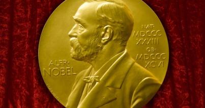 Alternatív irodalmi Nobel-díj átadását tervezik Svédországban