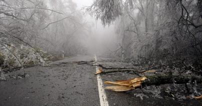 Fákat és villanyvezetékeket szakított le, közlekedési gondokat okozott az ónos eső