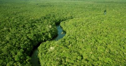 A klímaváltozás felforgatta Amazónia lakóinak életét már az európaiak érkezése előtt