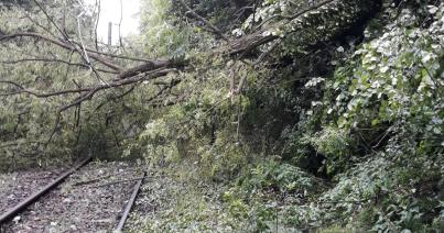 Fennakadások a vasúti közlekedésben a sínekre és villamosvezetékekre dőlt fák miatt