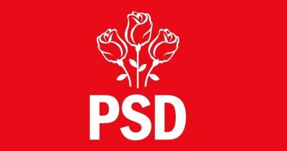 PSD: Még november előtt meg kell tartani a népszavazást