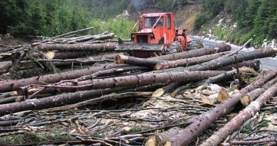 Iohannis: Véget kell vetni az illegális fakitermelésnek