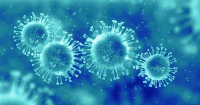 Influenza:  Kolozs megyei a 45. áldozat