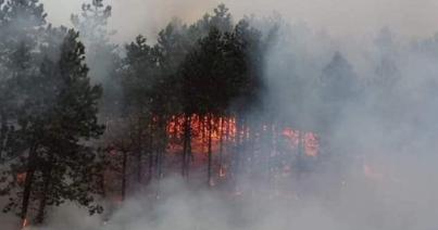 Tűz a Kolozsvár melletti Bükk-erdőben