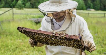 Nyolcadik katonai rendelet: nőtt a méhészek, halászok és őstermelők mobilitása