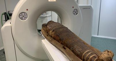 Ókori „kolozsvári” múmiát CT-ztek az állatorvosin