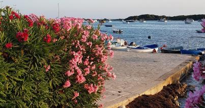 Két hét az égig érő pálmafák, gyümölcsöző óriáskaktuszok, a frutti di mare és orecchiette hazájában