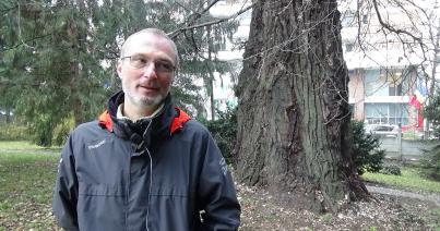 VIDEÓINTERJÚ - Hartel Tibor: ügyelnünk kell a kolozsvári „igazi túlélő”, öreg fákra