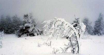 Sárga jelzésű riasztás, hóviharok, erős szél Kolozs megyében is