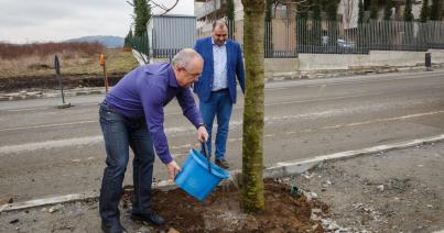 Százezer fát ültetne Emil Boc polgármester Kolozsváron