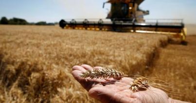 Brüsszel intézkedéseit kérik az ukrán gabona ügyében