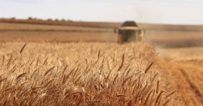 Megállapodás a Románián  áthaladó ukrán gabonáról