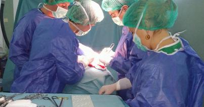 Felmondással fenyegetőznek a vesetranszplantációs intézet orvosai
