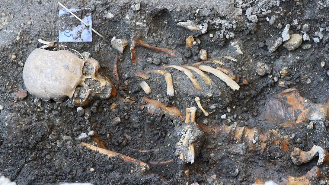 Főtéri ásatások és amiről a halottak mesélnek