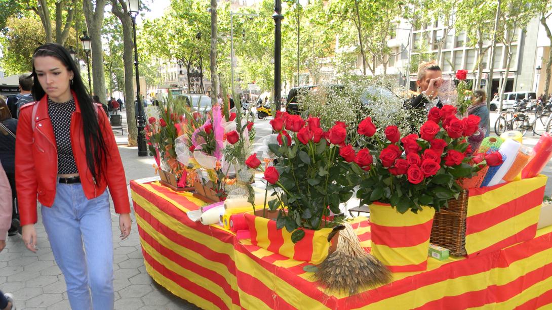 Egy rózsa, egy könyv, na meg a katalán függetlenség