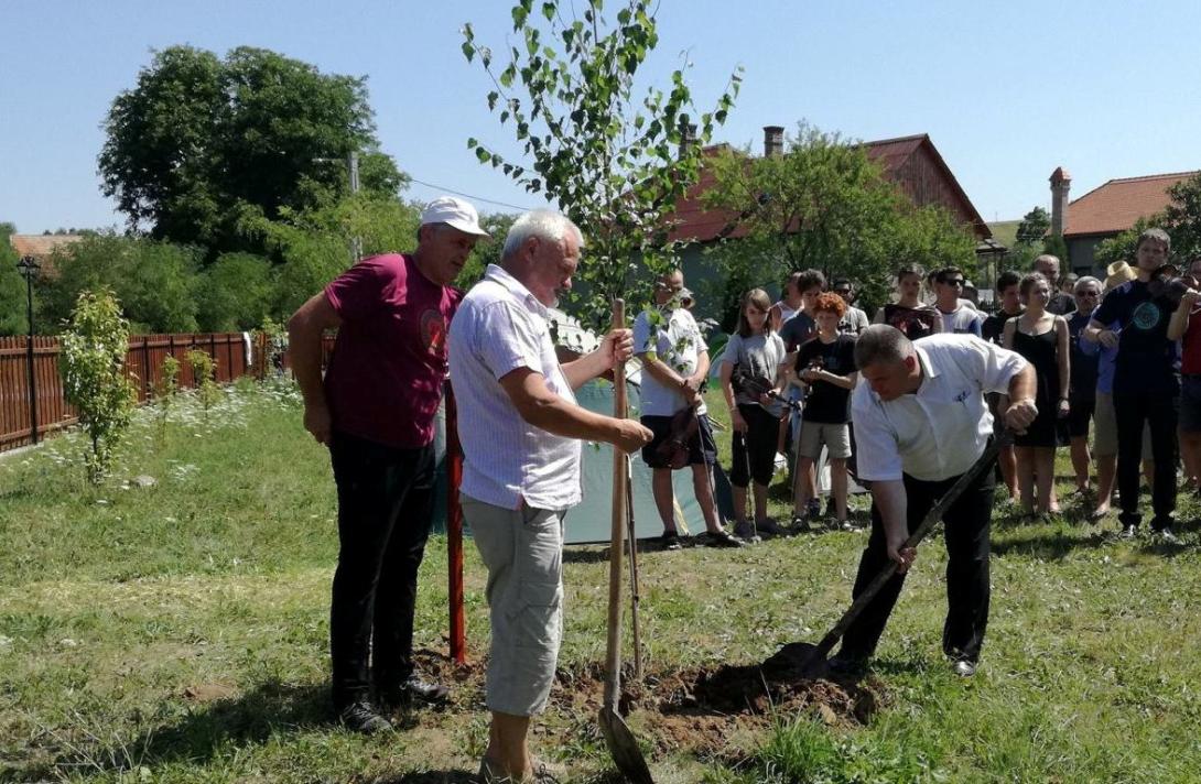 Kostyák Alpár emlékére  ültettek facsemetét