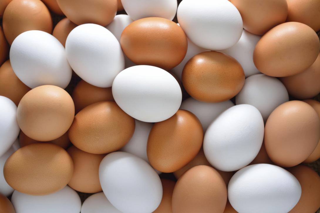 Októberben a tojás, a zöldségek és az energia drágult a legtöbbet