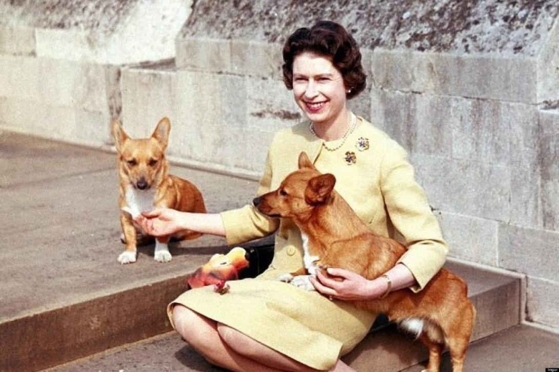 A brit uralkodó utolsó corgi kutyája is elpusztult
