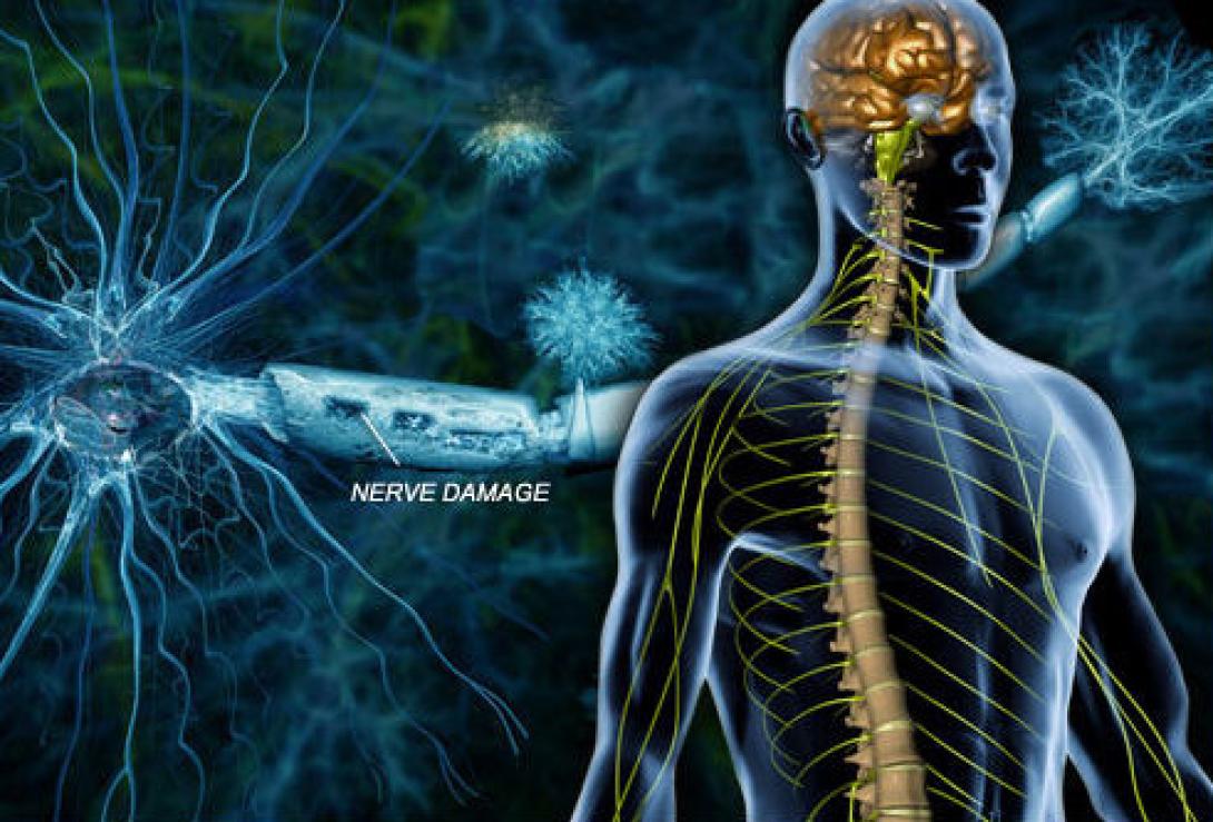 A sclerosis multiplex korai stádiumában lehet a legtöbbet segíteni a betegen