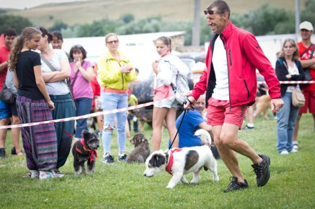 Boldog kutyák ünnepe a magyarfenesi falunapokon
