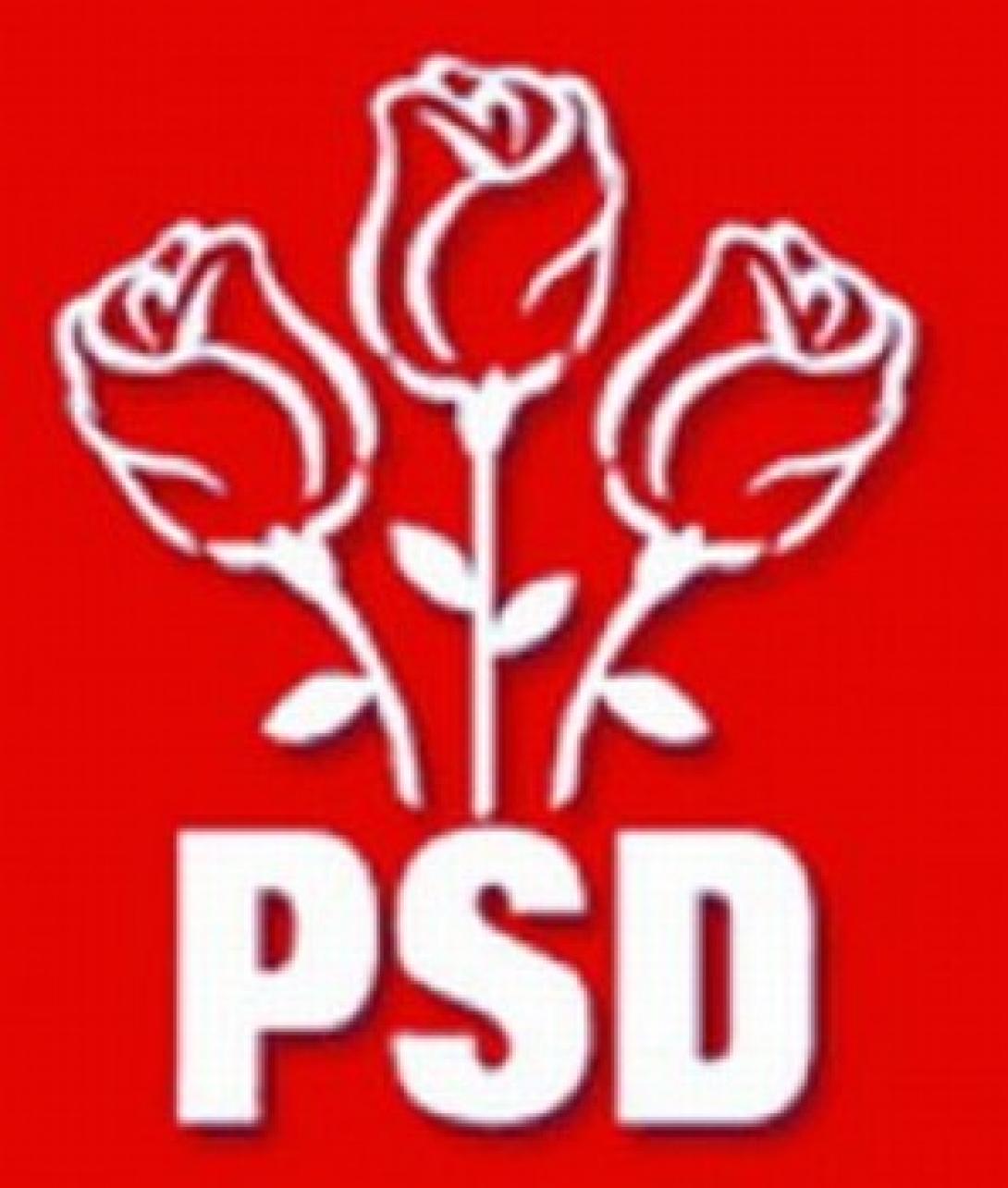 Források: Suciu, Stroe és Andronescu is indulna vezetőségi tisztségért a PSD-ben