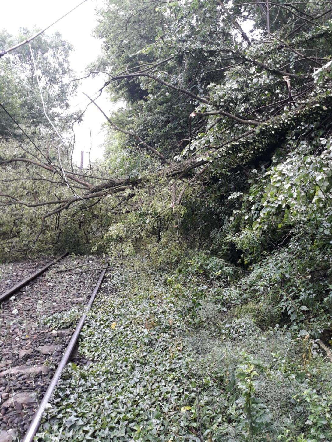 Fennakadások a vasúti közlekedésben a sínekre és villamosvezetékekre dőlt fák miatt