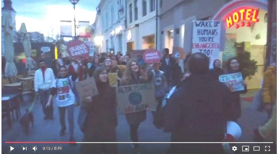 VIDEÓ - Az erdők törvénytelen kivágása ellen tüntettek