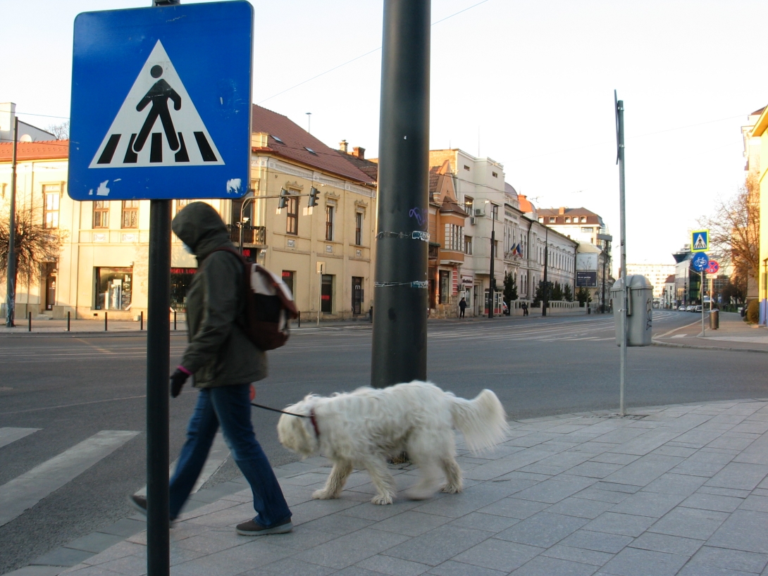 A gazdi sétáltatja a kutyát, vagy fordítva?