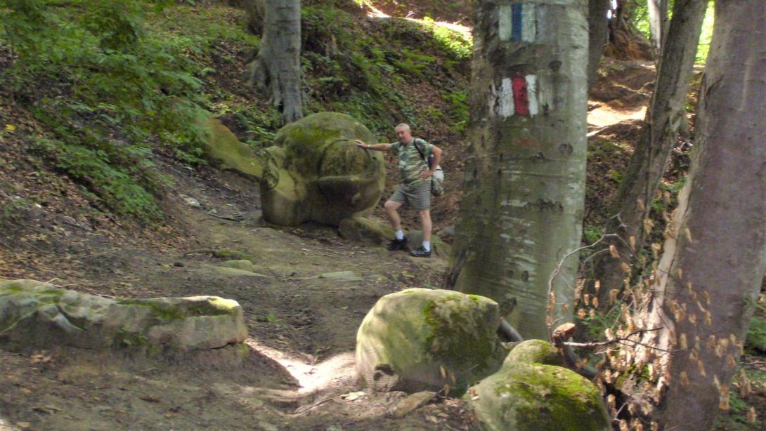 Kirándulni hármasban május 15. után: jelzett túrautak a kolozsvári Bükk-erdőben