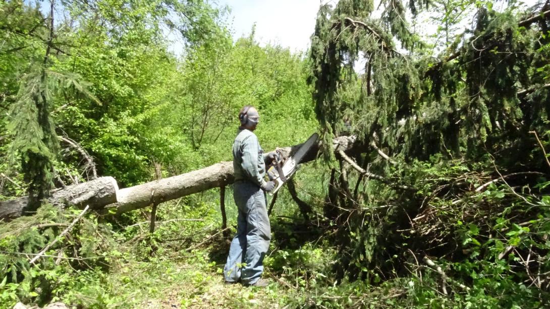 Jókai helyett Bánffyról szólt a májusunk