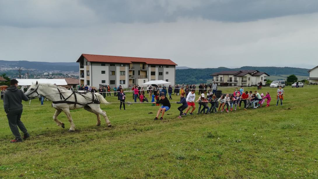 Paripák, kutyák, bemutatók, szépségverseny– lovasnap a Szilaj Lovastanyán