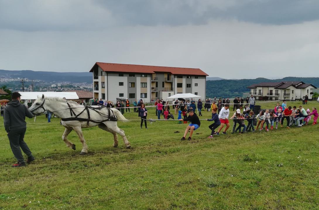 Esőverte, vírus fenyegette lovas napok Kolozsváron (FOTÓRIPORTTAL)