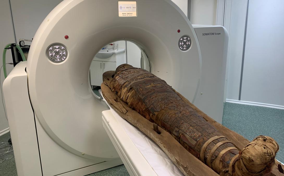 Ókori „kolozsvári” múmiát CT-ztek az állatorvosin