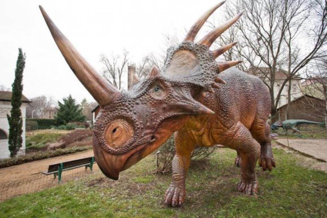 Száz éve elfeledett dinoszaurusz-lelőhelyeket fedeztek újra fel Erdélyben