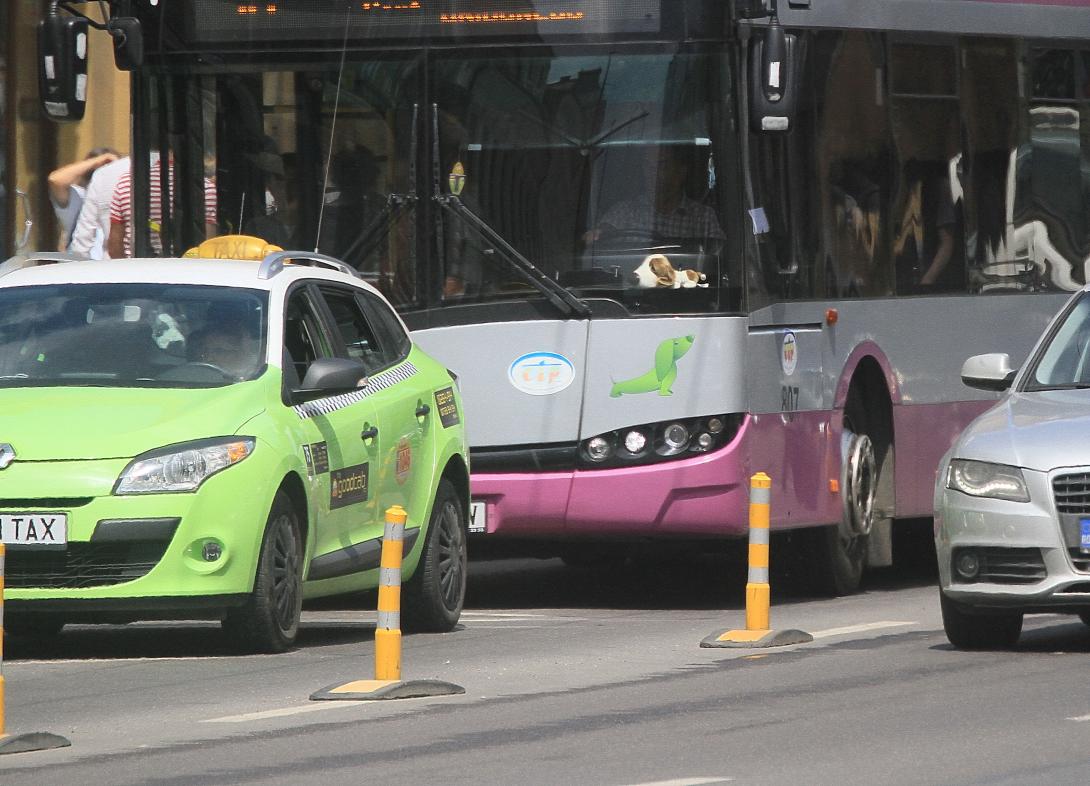 A buszoknak fenntartott  útsávokat taxisok is használnák